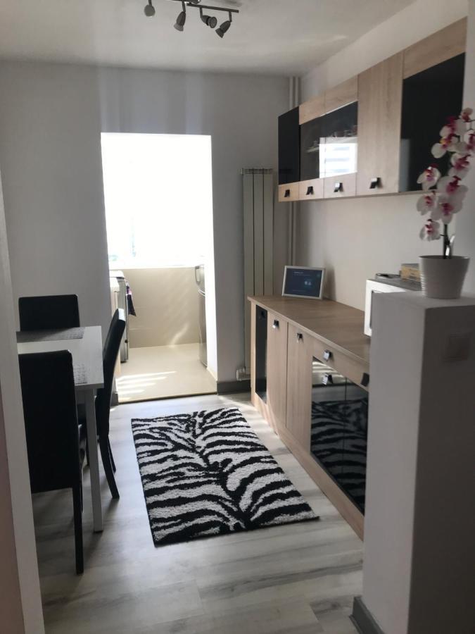 Boulevard Apartment Oradea Exterior foto